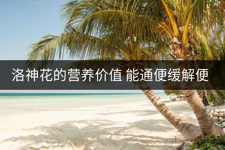 洛神花的營養價值 能通便緩解便秘嗎