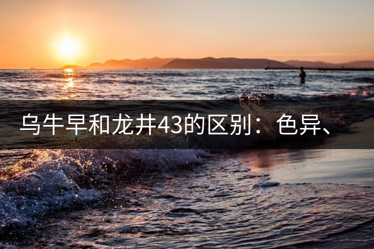 烏牛早和龍井43的區(qū)別:色異、香異、形異 烏牛早和龍井43的區(qū)別:色異、香異、形異