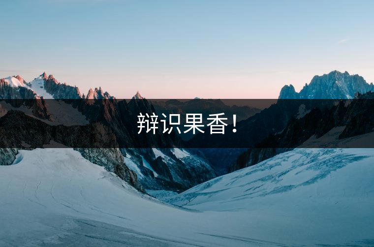 辯識果香! 辯識果香!