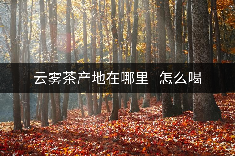 云霧茶產地在哪里   怎么喝