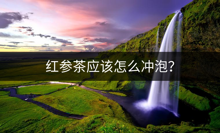 紅參茶應該怎么沖泡? 紅參茶應該怎么沖泡?