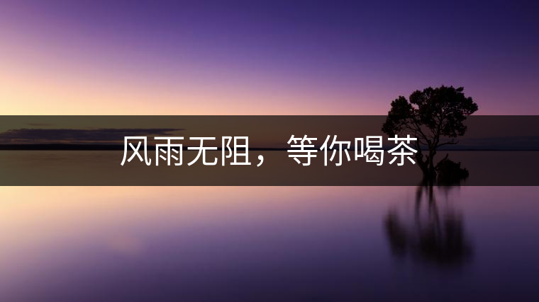 風雨無阻，等你喝茶