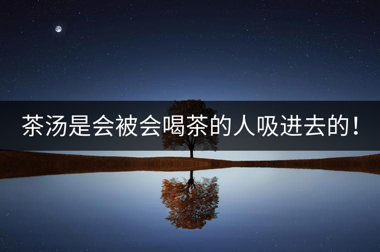 茶湯是會被會喝茶的人吸進去的! 茶湯是會被會喝茶的人吸進去的!