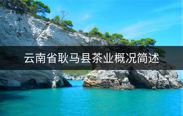 云南省耿馬縣茶業概況簡述