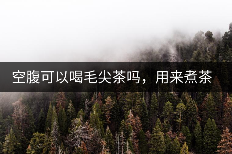 空腹可以喝毛尖茶嗎，用來煮茶葉蛋怎么樣？