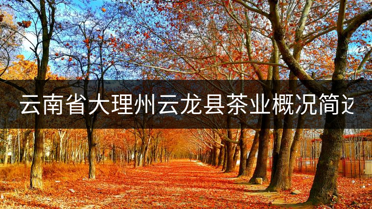 云南省大理州云龍縣茶業概況簡述（第三講）