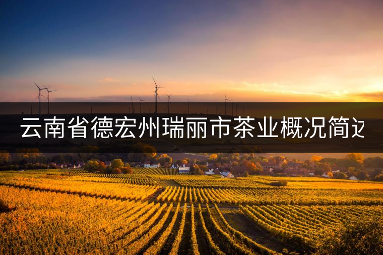 云南省德宏州瑞麗市茶業概況簡述（下篇）