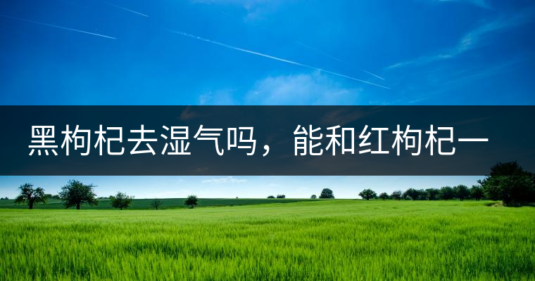 黑枸杞去濕氣嗎,能和紅枸杞一起泡嗎? 黑枸杞去濕氣嗎,能和紅枸杞一起泡嗎?
