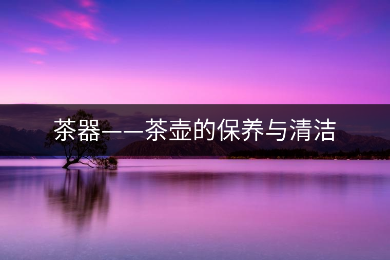 茶器——茶壺的保養與清潔