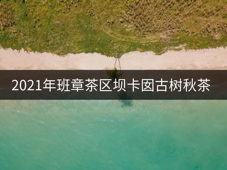 2021年班章茶區壩卡囡古樹秋茶多少錢一公斤? 2021年班章茶區壩卡囡古樹秋茶多少錢一公斤?