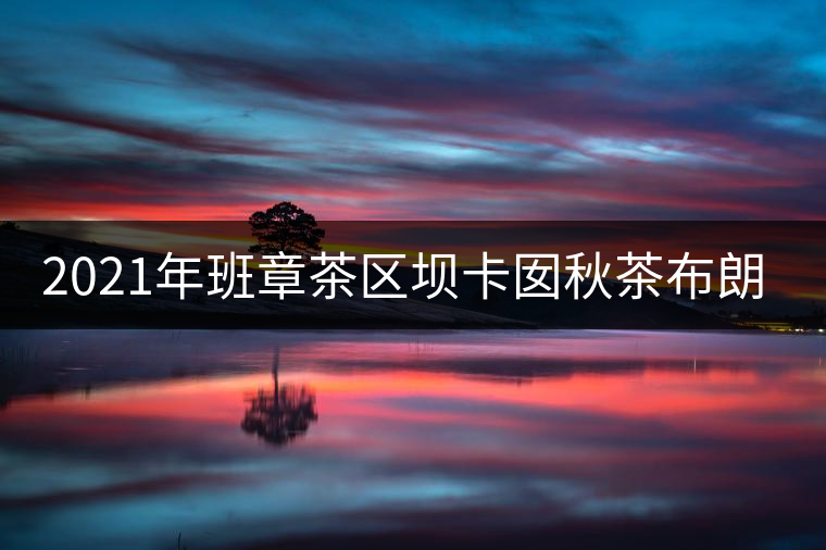 2021年班章茶區壩卡囡秋茶布朗茶系中的甜茶類! 2021年班章茶區壩卡囡秋茶布朗茶系中的甜茶類!