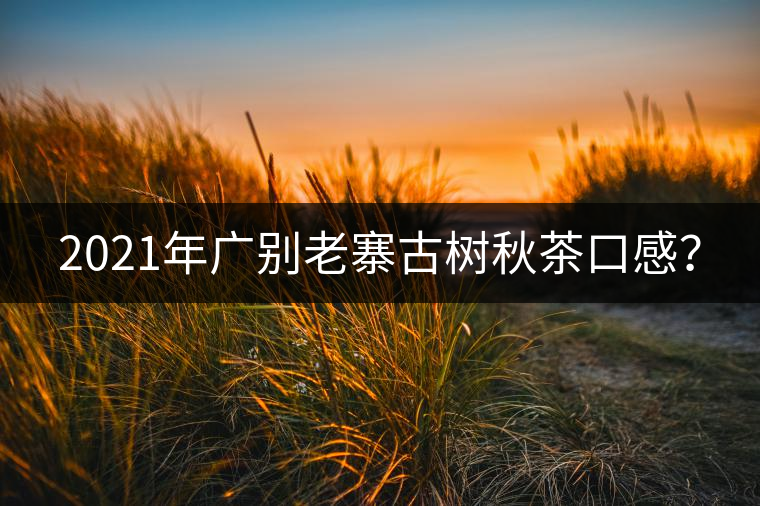 2021年廣別老寨古樹秋茶口感? 2021年廣別老寨古樹秋茶口感?