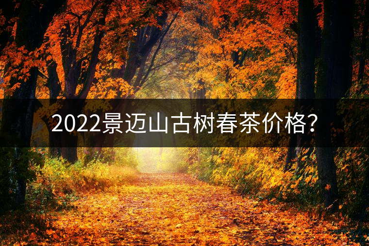 2022景邁山古樹春茶價格？