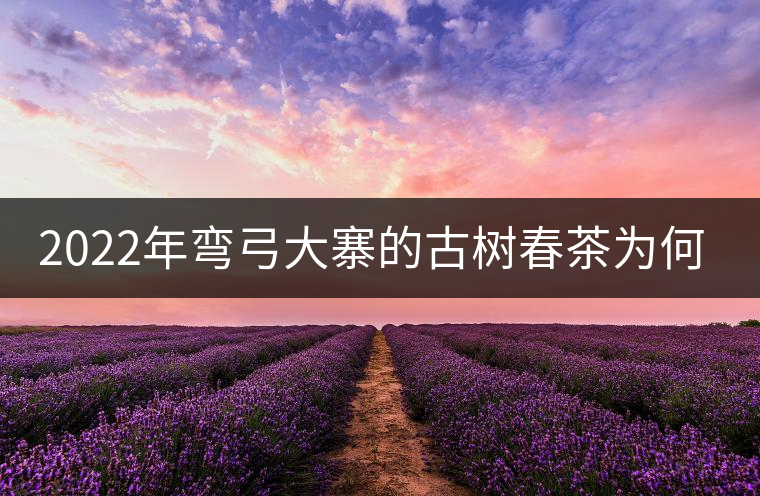 2022年彎弓大寨的古樹(shù)春茶為何如此之珍貴? 2022年彎弓大寨的古樹(shù)春茶為何如此之珍貴?