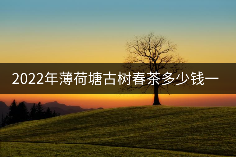 2022年薄荷塘古樹春茶多少錢一公斤? 2022年薄荷塘古樹春茶多少錢一公斤?
