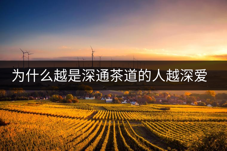 為什么越是深通茶道的人越深愛普洱茶?喜歡普洱茶,有三個原因。 為什么越是深通茶道的人越深愛普洱茶?喜歡普洱茶,有三個原因。