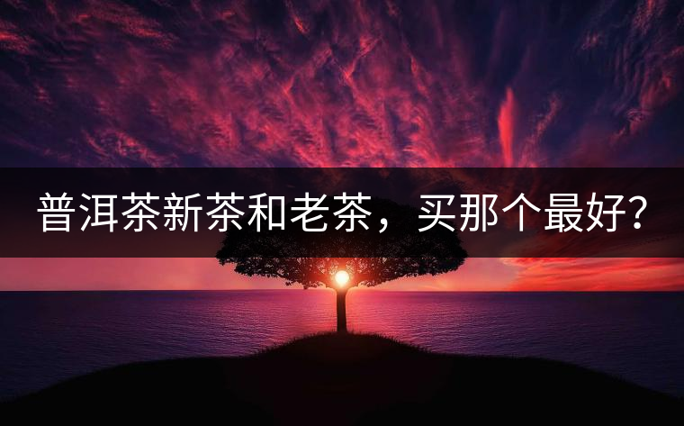 普洱茶新茶和老茶，買(mǎi)那個(gè)最好？