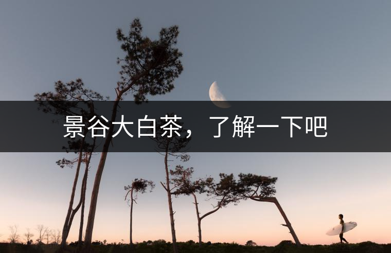 景谷大白茶,了解一下吧 景谷大白茶,了解一下吧