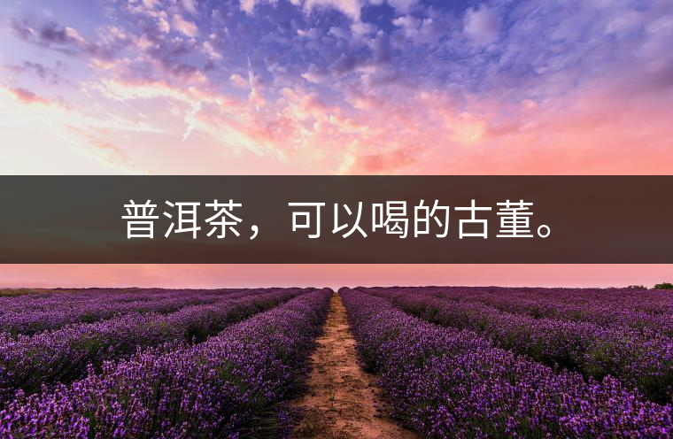 普洱茶,可以喝的古董。 普洱茶,可以喝的古董。