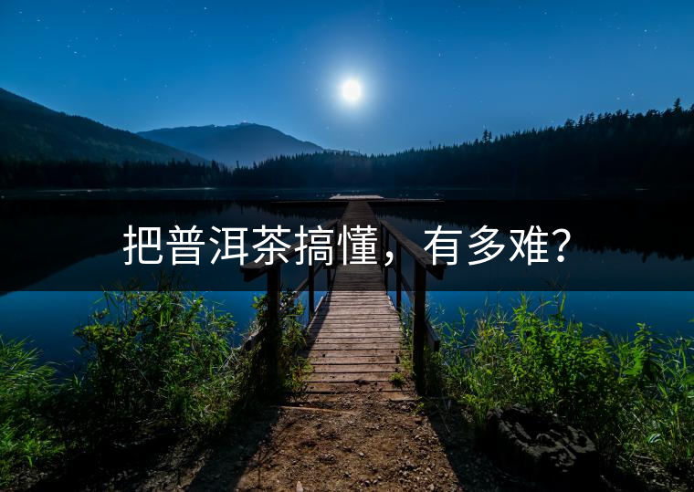 把普洱茶搞懂,有多難? 把普洱茶搞懂,有多難?