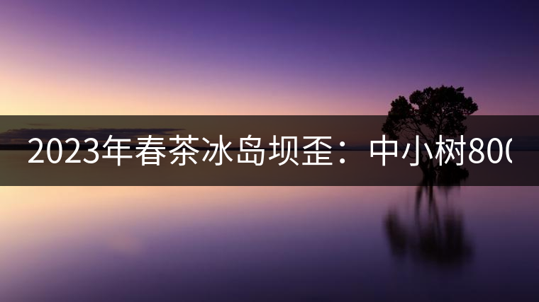 2023年春茶冰島壩歪:中小樹800元/公斤,古樹1400-1600元/公斤 2023年春茶冰島壩歪:中小樹800元/公斤,古樹1400-1600元/公斤