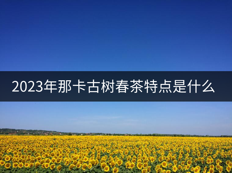 2023年那卡古樹春茶特點(diǎn)是什么？