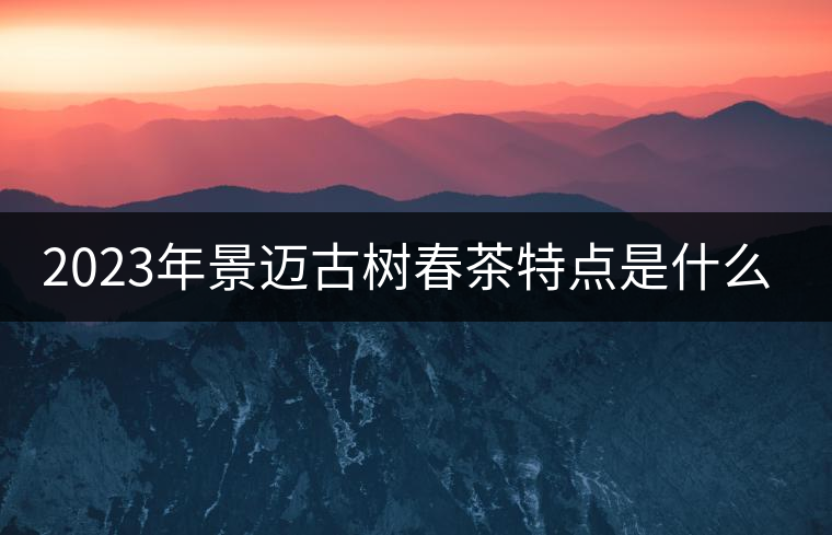 2023年景邁古樹春茶特點是什么? 2023年景邁古樹春茶特點是什么?