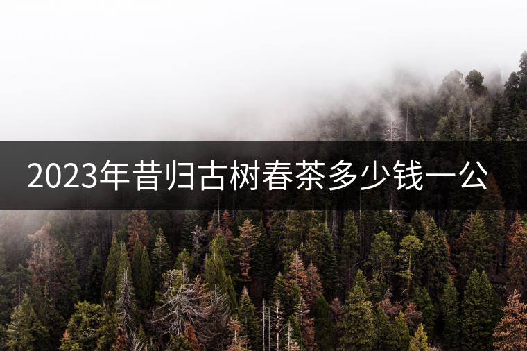 2023年昔歸古樹春茶多少錢一公斤？