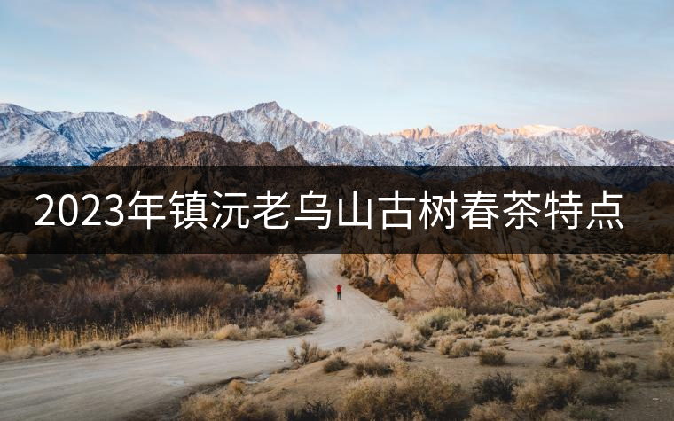 2023年鎮(zhèn)沅老烏山古樹春茶特點(diǎn)是什么? 2023年鎮(zhèn)沅老烏山古樹春茶特點(diǎn)是什么?