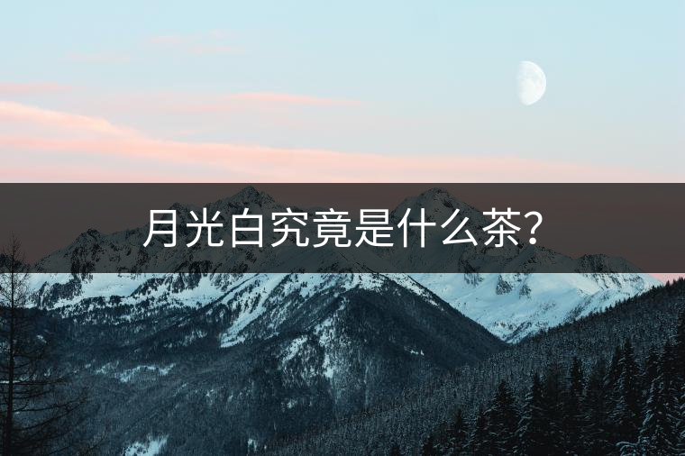 月光白究竟是什么茶? 月光白究竟是什么茶?