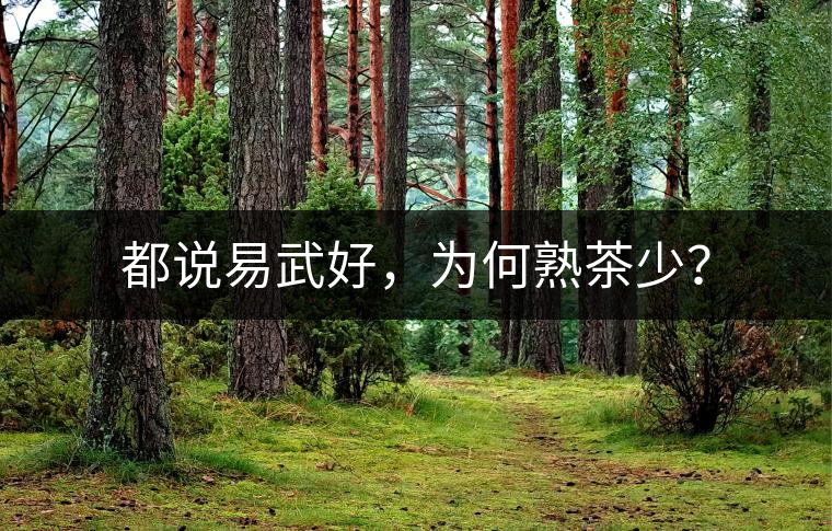 都說易武好,為何熟茶少? 都說易武好,為何熟茶少?