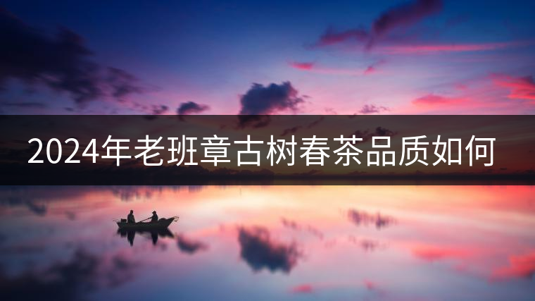 2024年老班章古樹春茶品質如何? 2024年老班章古樹春茶品質如何?