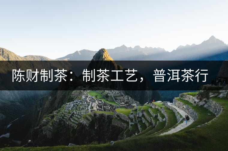 陳財制茶：制茶工藝，普洱茶行業的生死線