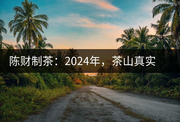 陳財制茶：2024年，茶山真實寫照，最慘的那波人