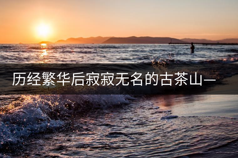 歷經繁華后寂寂無名的古茶山——莽枝 歷經繁華后寂寂無名的古茶山——莽枝