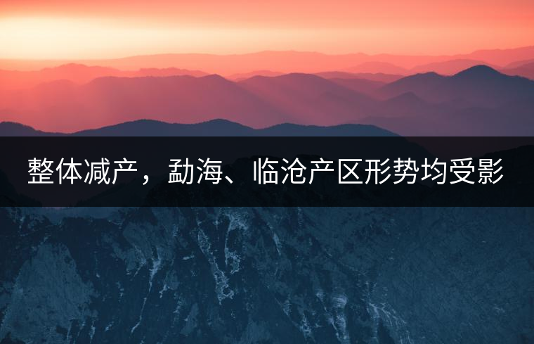 整體減產(chǎn)，勐海、臨滄產(chǎn)區(qū)形勢(shì)均受影響