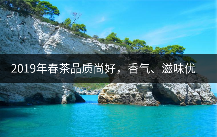 2019年春茶品質(zhì)尚好，香氣、滋味優(yōu)于去年