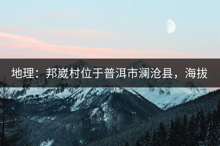 地理：邦崴村位于普洱市瀾滄縣，海拔1800-2000多米，這里的古樹茶被原始森林環抱，遠離塵囂污染，沒有農藥化肥。