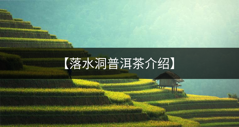 【落水洞普洱茶介紹】 【落水洞普洱茶介紹】