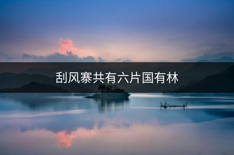 刮風寨共有六片國有林