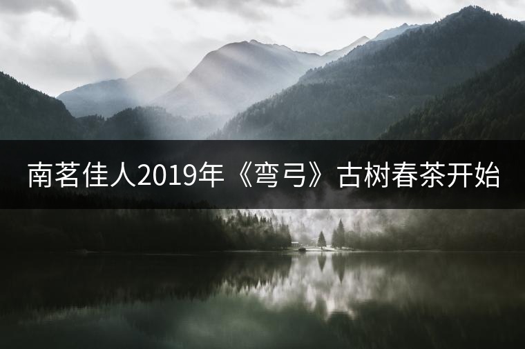 南茗佳人2019年《彎弓》古樹春茶開始預售啦! 南茗佳人2019年《彎弓》古樹春茶開始預售啦!
