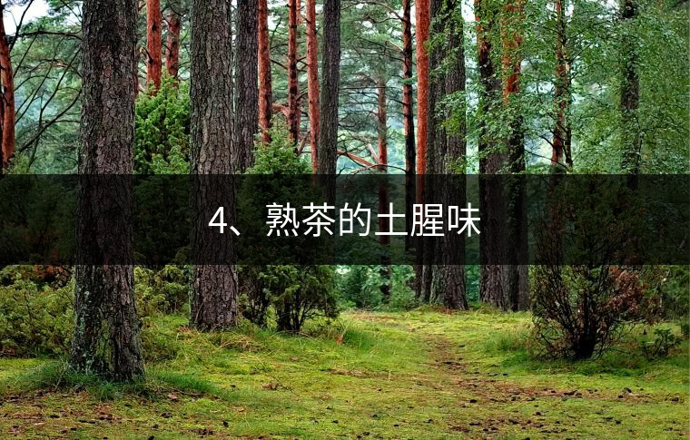 4、熟茶的土腥味