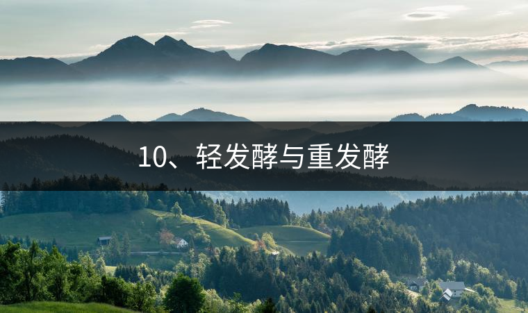 10、輕發酵與重發酵