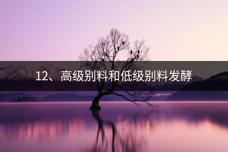 12、高級別料和低級別料發酵
