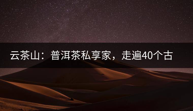 云茶山：普洱茶私享家，走遍40個古寨，24小時提供專家評分與產地茶農一手報價