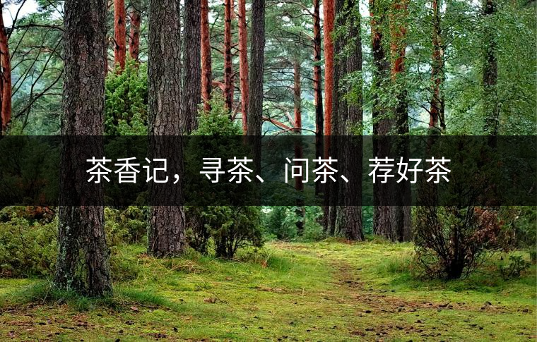 茶香記，尋茶、問茶、薦好茶