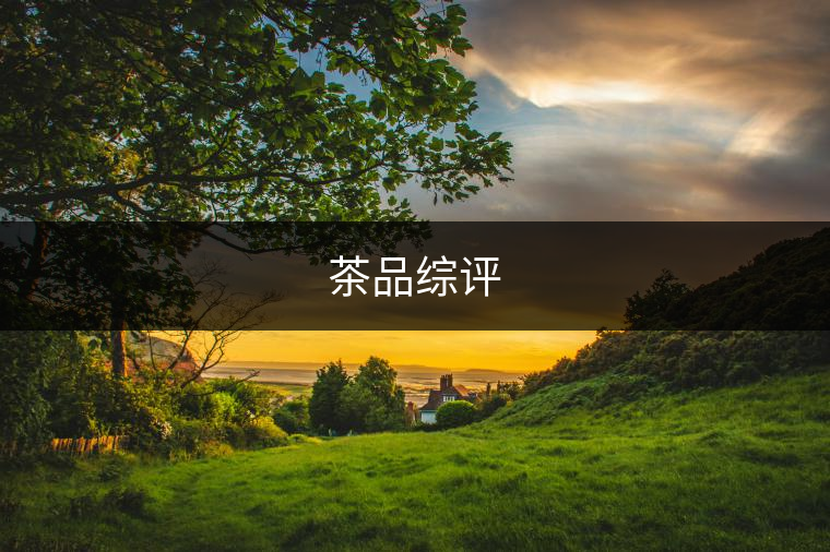 茶品綜評