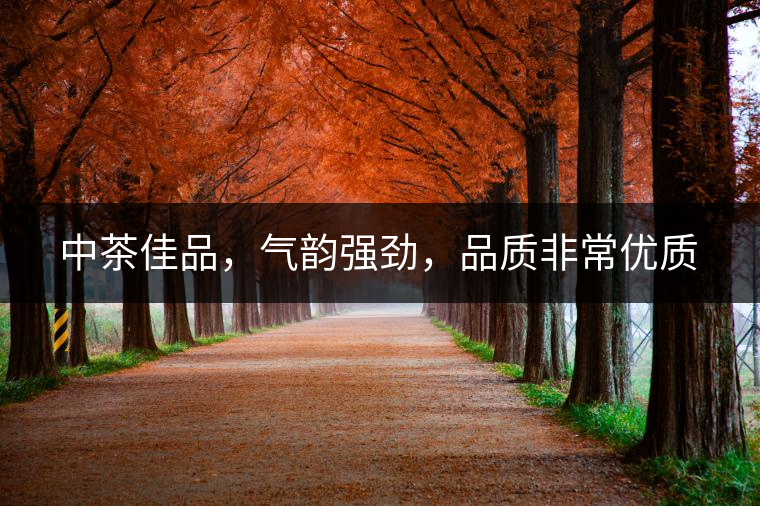 中茶佳品，氣韻強勁，品質非常優質