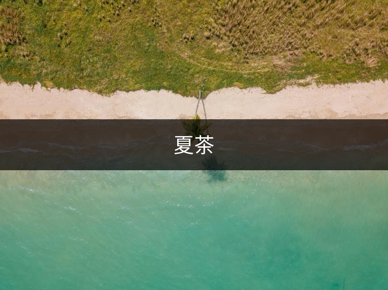 夏茶 夏茶