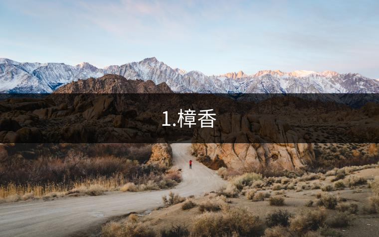 1.樟香
